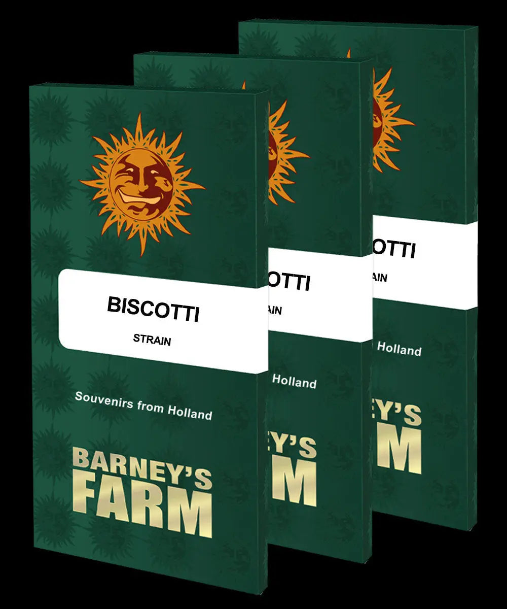 BISCOTTI Barney's Farm