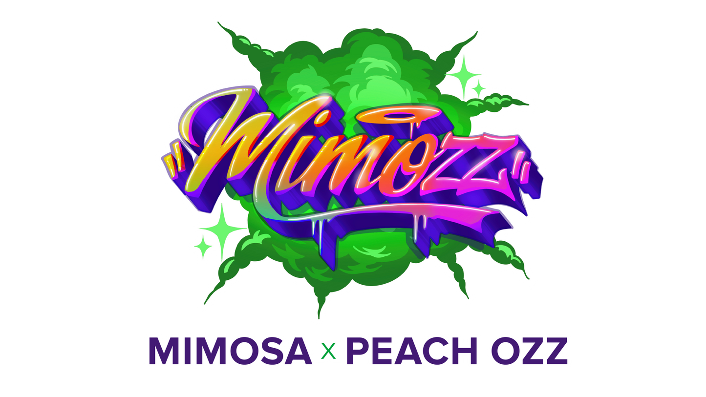 MIMOZZ