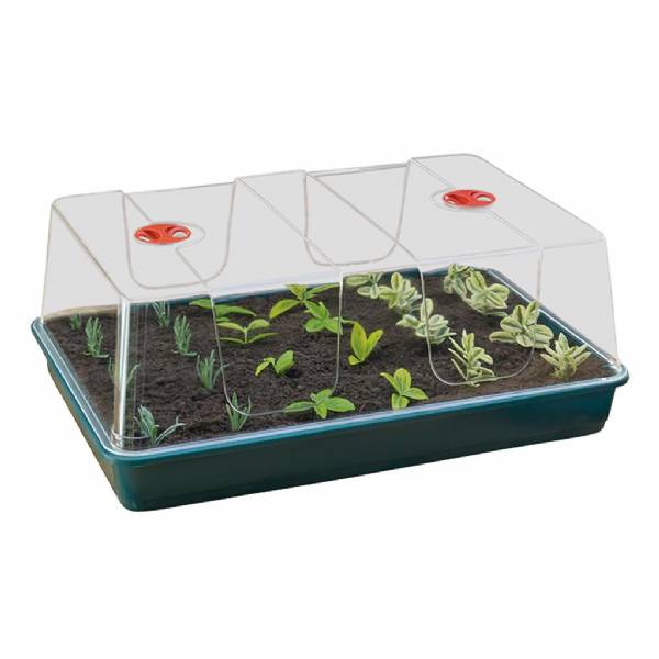 High Dome Propagator - Garland